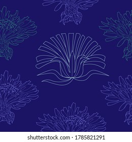 Seamless pattern for paper and textiles with dandelions. Ethnic and nature, floral, retro, tribal design element. Isolated vector background.
