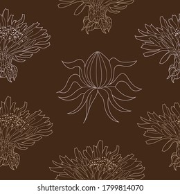 Seamless pattern for paper and textiles with dandelions. Ethnic and nature, floral, retro, tribal design element. Isolated vector background.