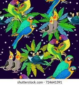 seamless pattern parrot ozherelovy, Masked Lovebird, corella, macaw on palm  at night Vector illustration