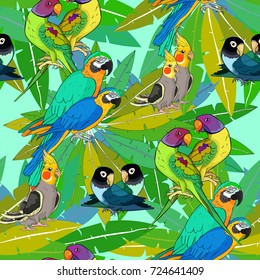 seamless pattern parrot ozherelovy, Masked Lovebird, corella, macaw on palm Vector illustration