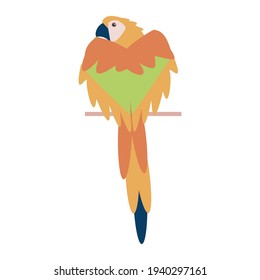 Seamless pattern with parrot, pineapple and kiwi on white background Flat vector illustration