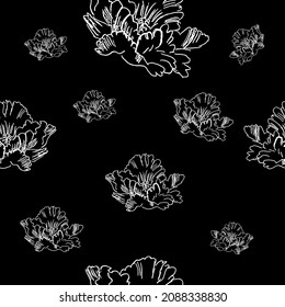 patrón sin costuras con tulipanes de loro en blanco y negro. vector