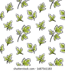 Seamless pattern with parsley leaves. Colorful sketch of healthy vegetables and herbs isolated on white background. Doodle hand drawn vector illustration