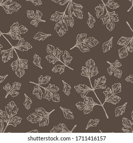 Seamless pattern with parsley: parsley leaves and plant. Herbs and spices.  Vector hand drawn illustration.