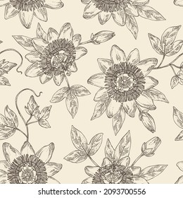Patrón sin foco con passiflora incarnata: flores, hojas y plantas de la passiflora. Cosmética, perfumería y planta médica. Ilustración dibujada a mano por vectores.