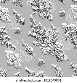 Seamless Pattern with Patchoulis inflorescences and flowers and branch with leaves . Detailed hand-drawn sketches, vector botanical illustration. 
