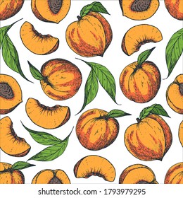 Seamless pattern with peach. Hand drawn pattern background. Colorful peach fruit illustration. Vector illustration.