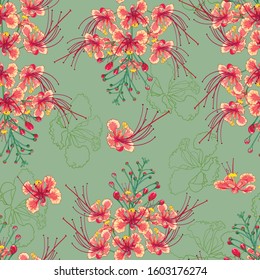 Seamless pattern of peacock flowers, tropical flowers.Vector striped striped orange florals on a green background, beautiful.Asian vegetation.Colorful flower plants in the eastern region.
