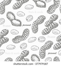 Seamless pattern with peanuts on white background. Vector  illustration for your design