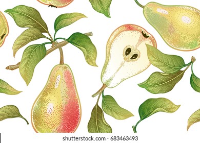 Seamless pattern with pears. Realistic vector illustration plant. Hand drawing with colored pencils. Fruit, leaf, branch of tree on white background. For kitchen design, food packaging. Vintage.