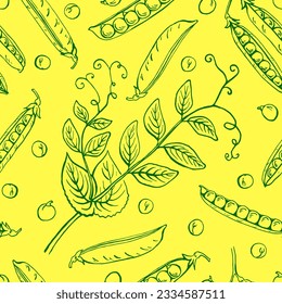 Seamless pattern with peas pods. Hand drawn vector illustration. Farm market product, vegetable.