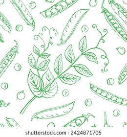 Patrón sin costuras con vaina de guisantes. Dibujado a mano ilustración vectorial. Producto del mercado agrícola, vegetal.