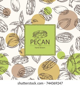 Seamless pattern with pecan: pecan nuts and leaves. Vector hand drawn illustration