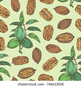 Seamless pattern with pecan: pecan nuts and leaves. Vector hand drawn illustration