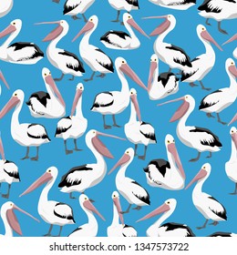 Seamless pattern. Pelicans in different poses on a blue background. Realistic vector illustration.