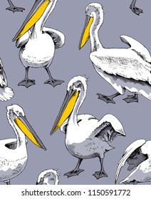 Seamless pattern. Pelicans with a yellow beak on a gray background. Vector illustration.