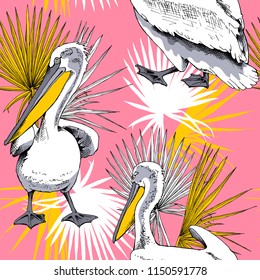 Seamless pattern. Pelicans with a yellow beak and exotic palm leaves on a pink background. Vector illustration.