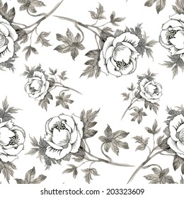 Seamless pattern pencil drawing roses on white background vector 