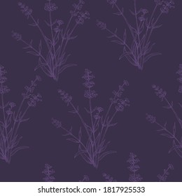 Seamless Pattern with Pencil Drawn Violet Lavender Herb Placed on the dark Blue background.