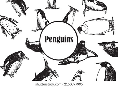 Seamless pattern penguins with text in the middle, stylish cover for for fabric, postcards, wallpapers,graphical vector illustration