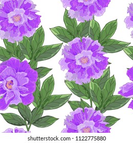 Seamless pattern with peonies on a white background. Infinite texture for the design of the season. Wallpaper, textile, party invitation, wrapping, birthday, anniversary, etc Vector. 