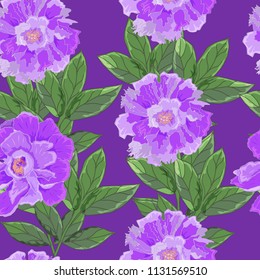 Seamless pattern with peonies on a white background. Infinite texture for the design of the season. Vector. Printing for fabrics, cover design, wallpaper, party invitation, wrapping, birthday 