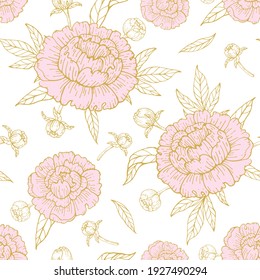 Seamless pattern with peony on a pink background. Hand drawn vector illustration