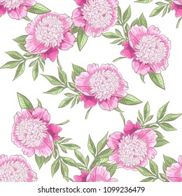 Seamless pattern with peony on white background