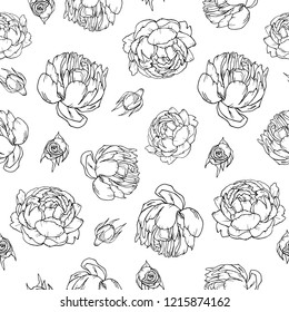 Seamless pattern Peony Rose, white black background, stunning peonies; Beautiful bud, vector objects, outline hand drawing