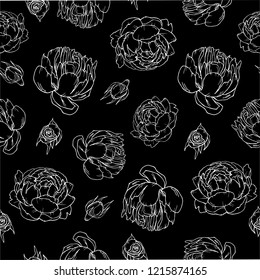 Seamless pattern Peony Rose, white black background, stunning peonies; Beautiful bud, vector objects, outline hand drawing