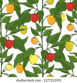 seamless pattern. pepper bushes. floral endless ornament. hand-drawn. vector illustration.