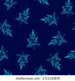 Seamless pattern with peppermint (Mentha piperita). Vector illustration blue background.
