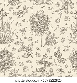 Seamless pattern with perfumery, cosmetic and medical plants: saraca asoca, guggul, zealand flax, flueggea suffruticosa. Vector hand drawn illustration.