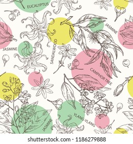 Seamless pattern with perfumery, cosmetics and medical plant: camphor tree, sandalwood, flower ylang-ylang, jasmine flower and eucalyptus. Vector hand drawn illustration.