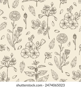 Seamless pattern with perfumery and medical plants: celandine flowers, calendula, nettle, flax. Vector hand drawn illustration.