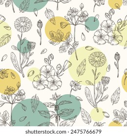 Seamless pattern with perfumery and medical plants: celandine flowers, calendula, nettle, flax. Vector hand drawn illustration.