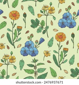 Seamless pattern with perfumery and medical plants: celandine flowers, calendula, nettle, flax. Vector hand drawn illustration.