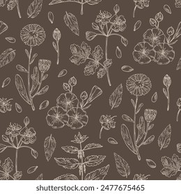 Seamless pattern with perfumery and medical plants: celandine flowers, calendula, nettle, flax. Vector hand drawn illustration.