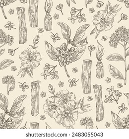 Seamless pattern with perfumery and medical plants: palo santo sticks, osmanthus, cistus ladanifer, heliotropium. Vector hand drawn illustration.