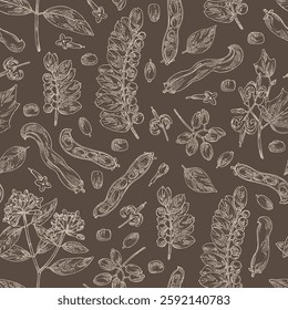 Seamless pattern with perfumery and medical plants: alangium chinense, mucuna pruriens, phyllanthus niruri, wikstroemia indica. Vector hand drawn illustration.