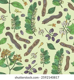 Seamless pattern with perfumery and medical plants: alangium chinense, mucuna pruriens, phyllanthus niruri, wikstroemia indica. Vector hand drawn illustration.