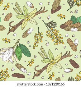 Seamless Pattern With Perfumery Plant: Magnolia Grandiflora Flower, Mimosa Flowers, Vanilla Pod And Flower And Tonka Beans Pod. Cosmetic, Perfumery And Medical Plant. Vector Hand Drawn