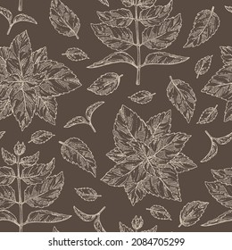 Seamless pattern with perilla: plant and perilla leaves.  Cosmetic, perfumery and medical plant. Vector hand drawn illustration