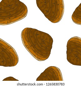 Seamless pattern of Phellinus linteus. Vector illustration. Medicinal plant.