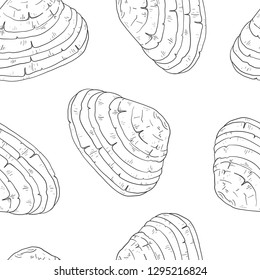 Seamless pattern of Phellinus linteus. Vector illustration. Medicinal plant.