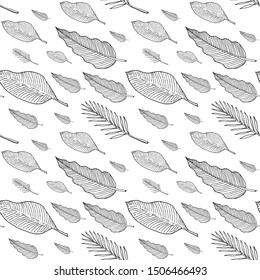 Seamless pattern with philodendron, banana and palm tree leaves or feathers. Doodle sketch. Black outlines on white background. Trendy texture for digital paper, fabric, decorative backdrops