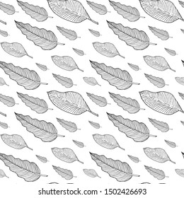 Seamless pattern with philodendron and banana tree leaves or feathers. Doodle sketch. Black outlines on white background. Trendy texture for digital paper, fabric, decorative backdrops, christmas