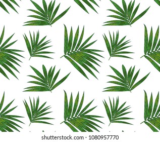 Seamless pattern with philodendron plants, green leaves cute wallpaper. Vector elegant print isolated on white background. Delicate art template
