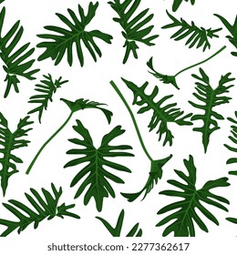 Un patrón sin fisuras de Philodendron xanadu aislado en fondo blanco, papel de envoltura conceptual, ilustración vectorial.