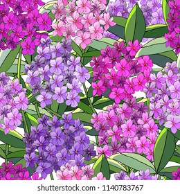 Seamless pattern with phlox flowers. Excellent print for greeting cards, clothes, bed linens, fabric, textiles, wallpaper, wrapping paper, gift box.